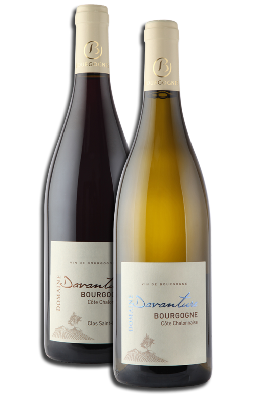 DOMAINE DAVANTURE BOURGOGNE