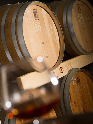 DOMAINE DE BEL-AIRARMAGNAC / FLOC DE GASCGONE /