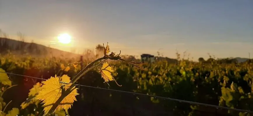 Photo de Domaine de bois vert