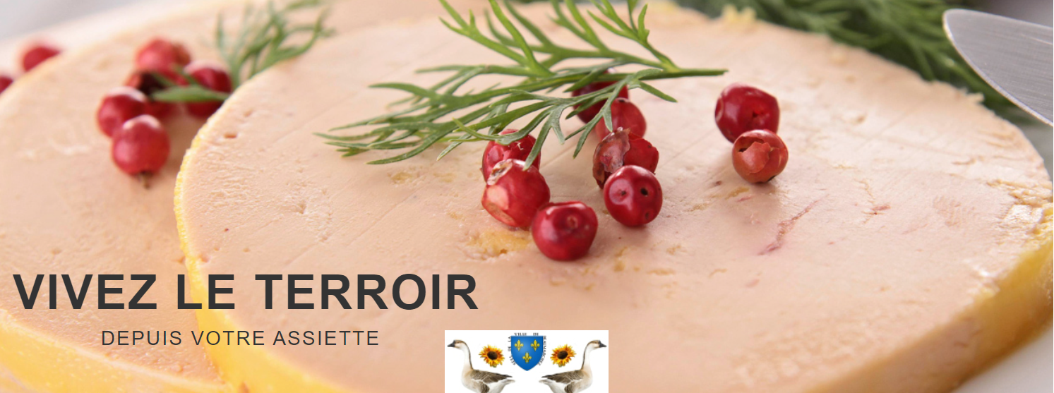 Bandeau DOMAINE DE BORDEVIEILLE