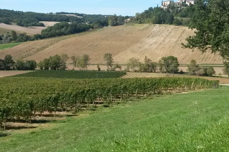 Domaine de Cauquelle