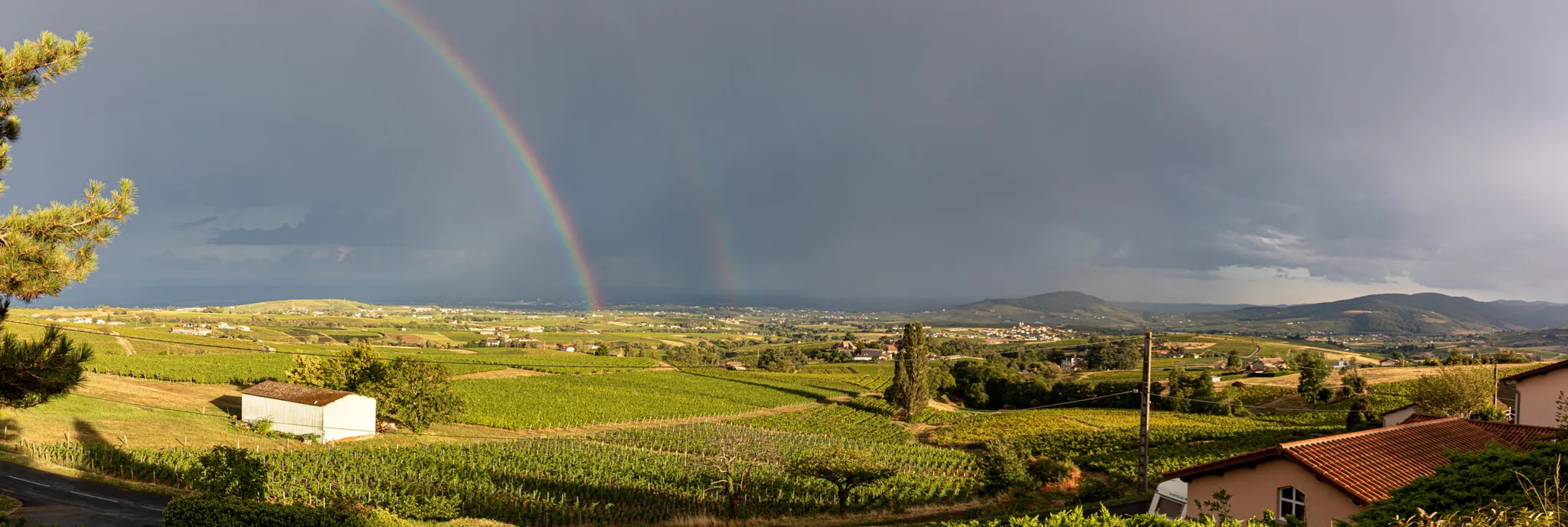 Bandeau Domaine de Colette Jacky et Pierre-Alexandre Gauthier