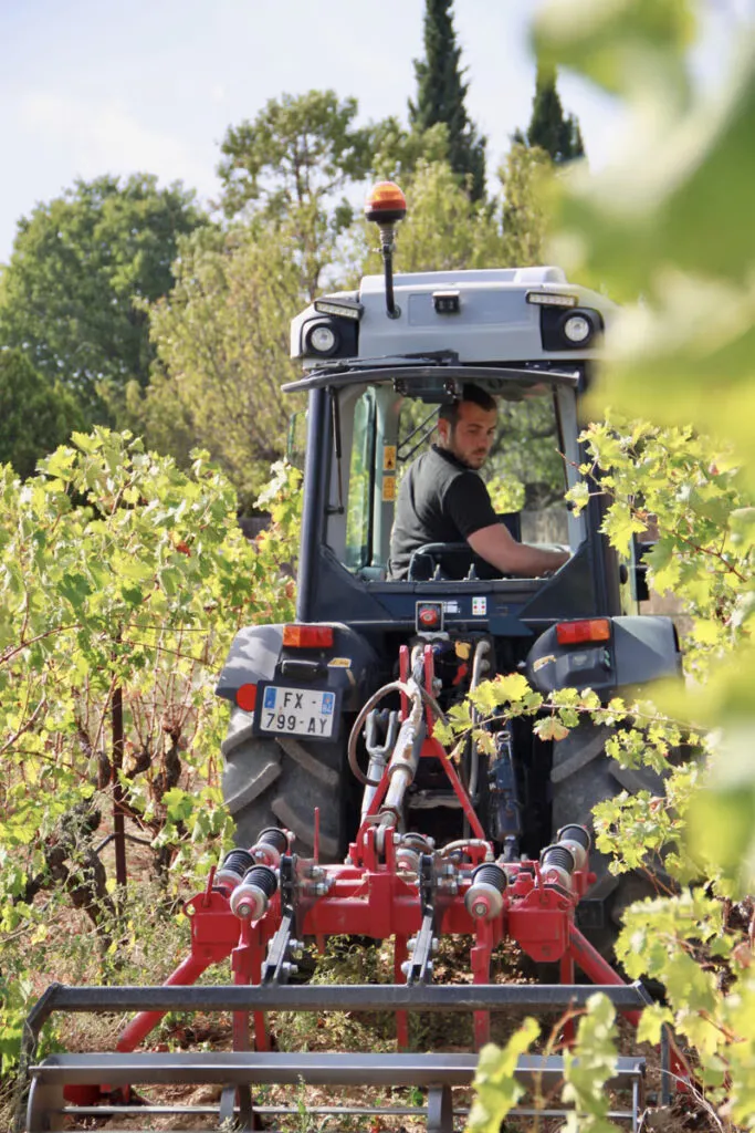DOMAINE DE FENOUILLET
