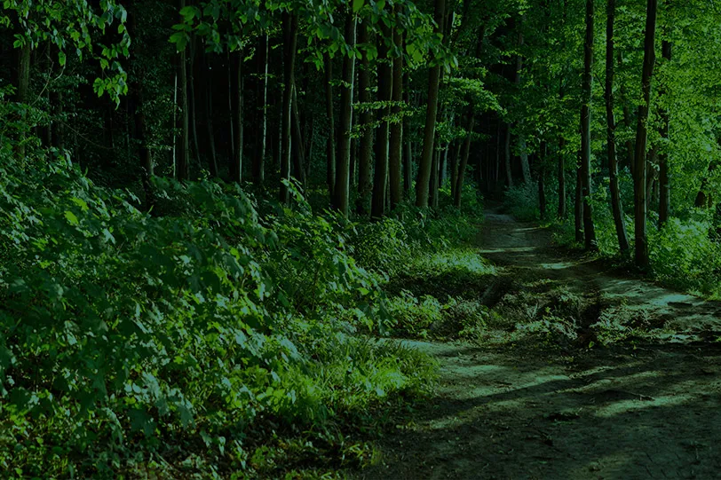 Photo de DOMAINE DE L'AURIERE