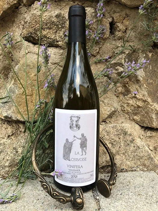 Logo DOMAINE DE L’ISERAND