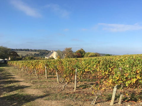 Photo de Domaine de L'Ours Bleu