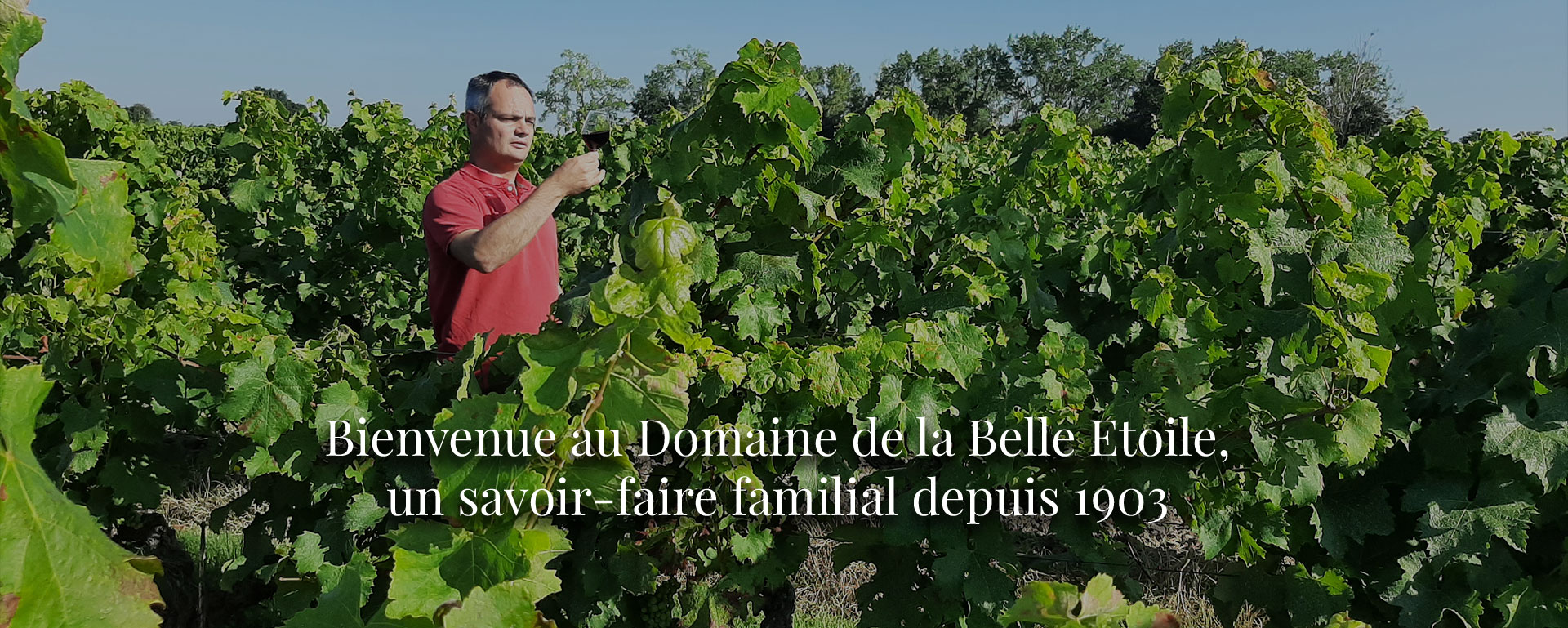 DOMAINE DE LA BELLE ETOILE
