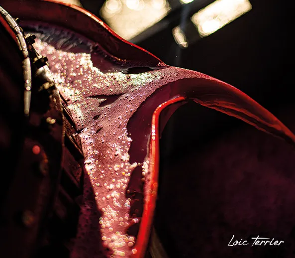 Domaine de la Bonne-Tonne Anne-Laure et Thomas AGATENSI