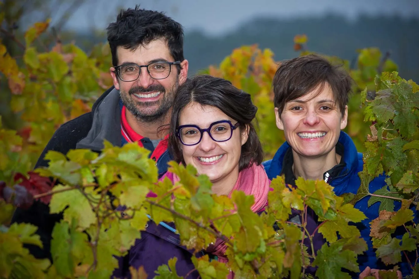 Photo de Domaine de la Chevalerie