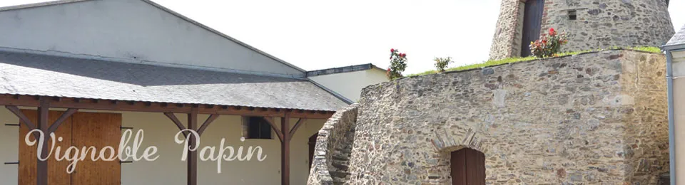 Domaine de la Colline - Vignoble Papin