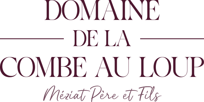 Logo DOMAINE DE LA COMBE AU LOUP