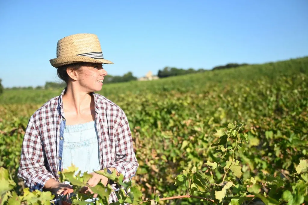 Logo Domaine de la Confidence