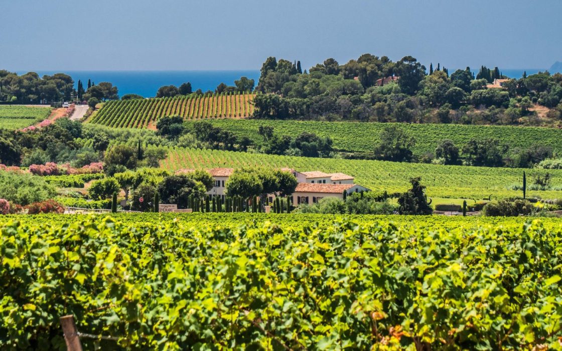 DOMAINE DE LA CROIX DE TERRE