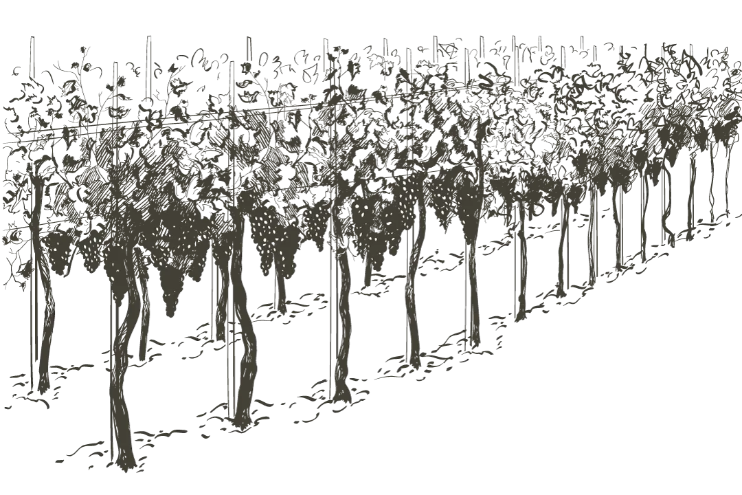 DOMAINE DE LA GARDE SUD-OUEST