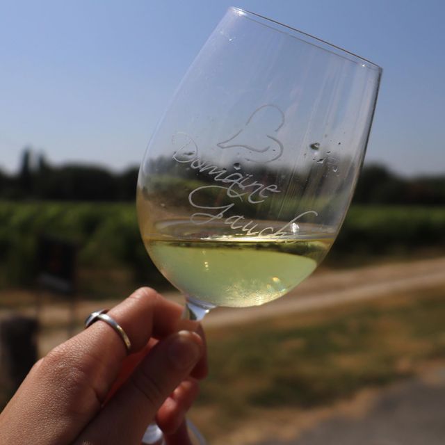 Domaine de la Gauche