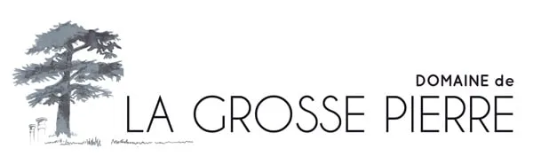 Logo Domaine de la Grosse Pierre Pauline PASSOT