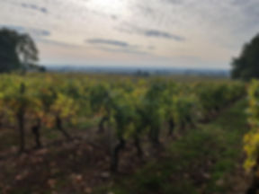 Domaine de la Jacquelinière