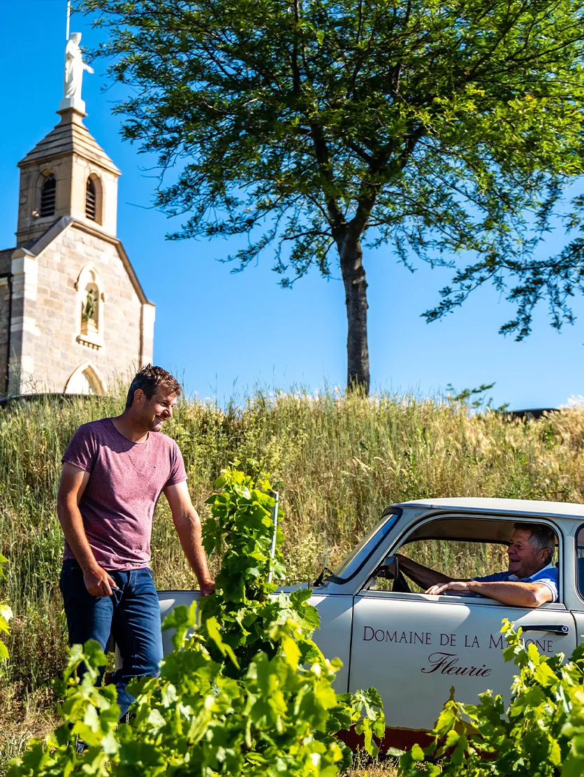 Bandeau Domaine de la Madone Arnaud DESPRES
