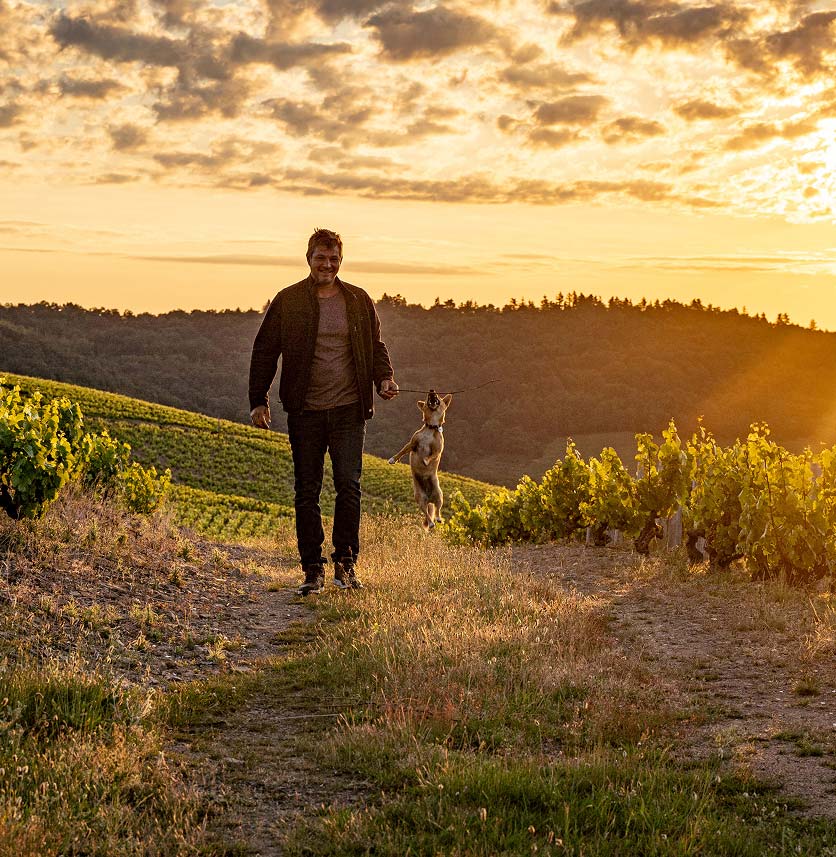 Domaine de la Madone Arnaud DESPRES