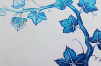 Logo DOMAINE DE LA MOTTE