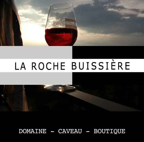 Domaine de la Roche Buissière