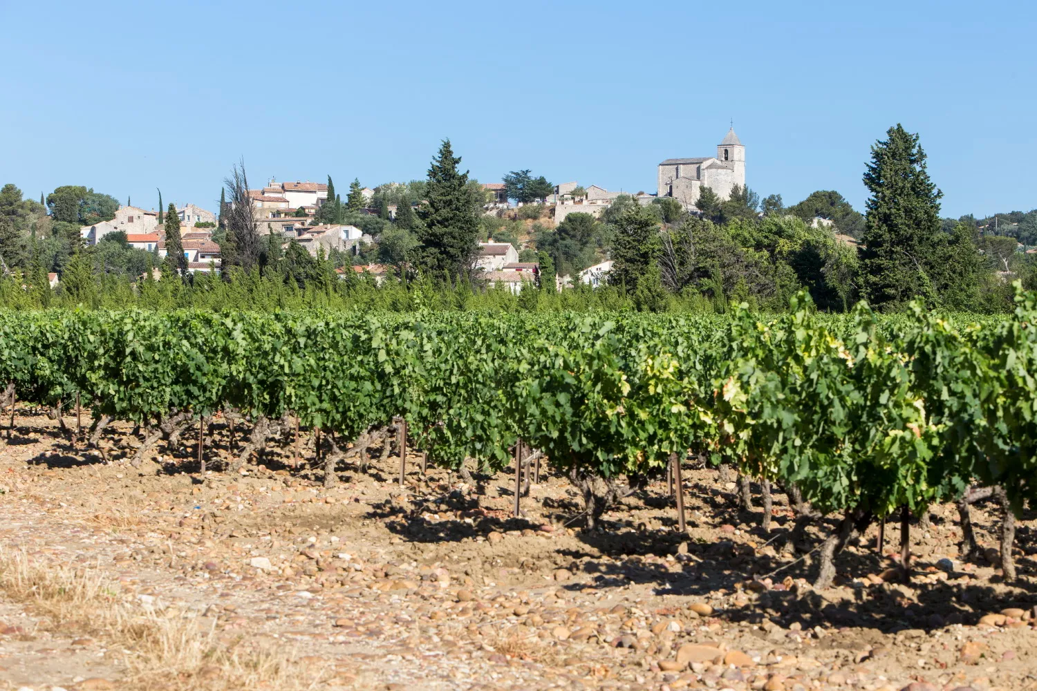 Photo de Domaine de la Rouette