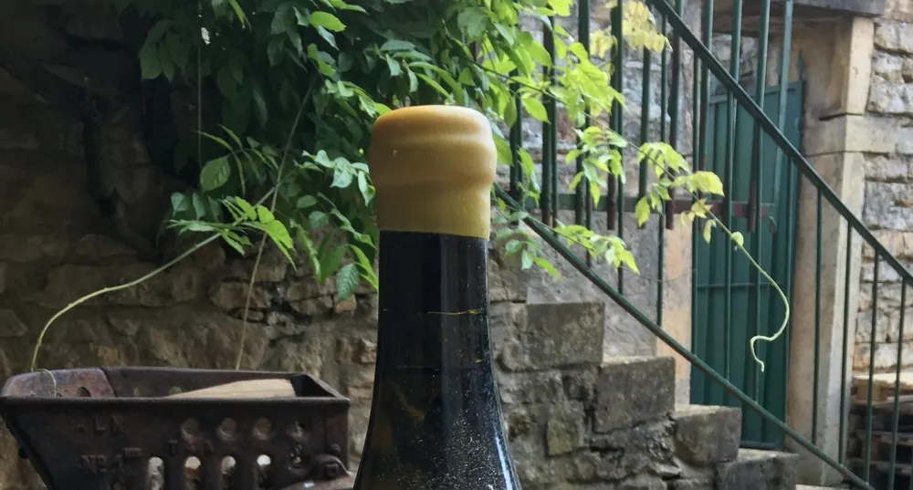 Domaine de la Sarazinière Guillaume et Philippe TRÉBIGNAUD