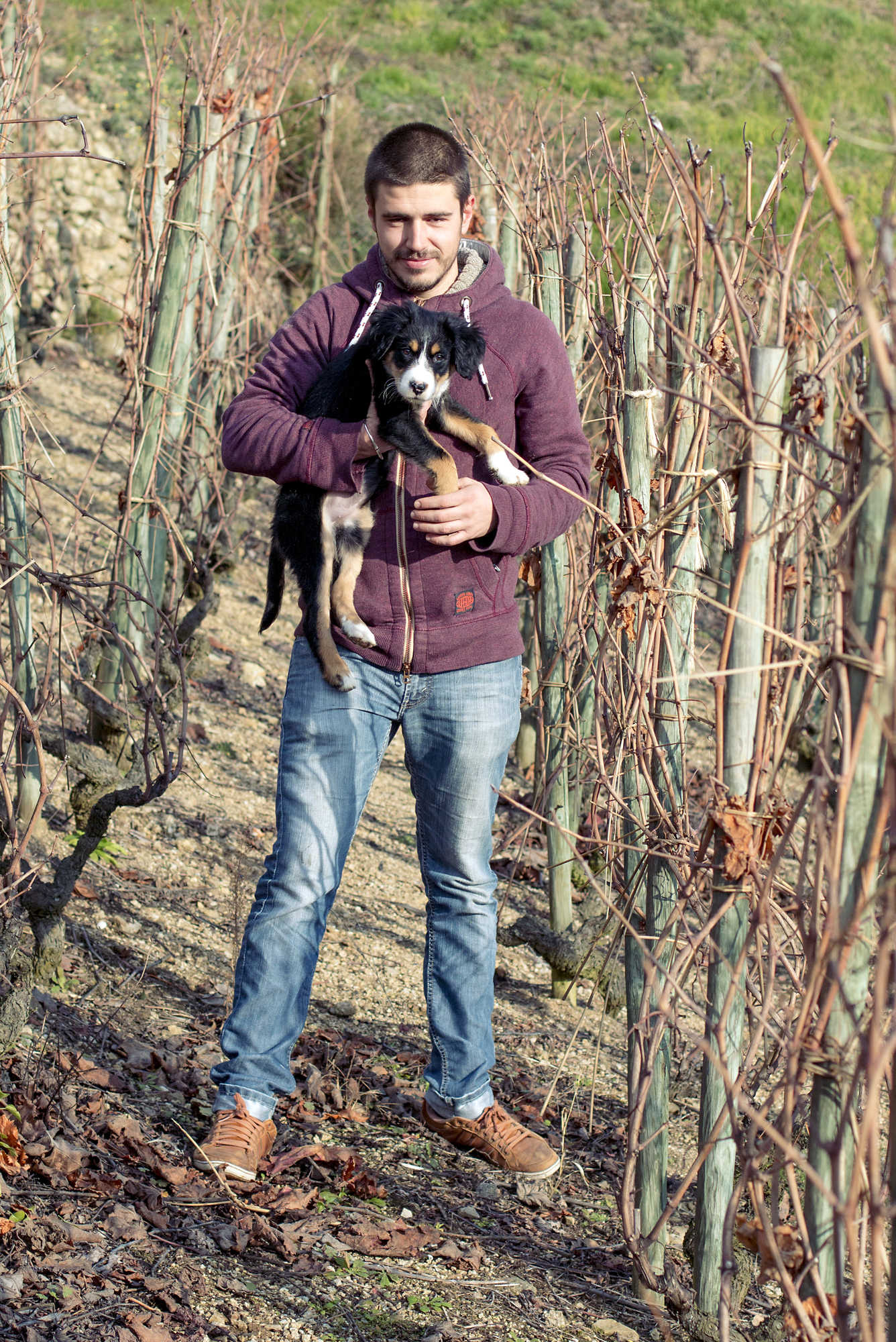 Domaine de la Sarbèche - Cyril Milochevitch