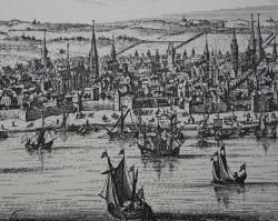 Photo de DOMAINE DE LA SORBASAUTERNES – GRAVES