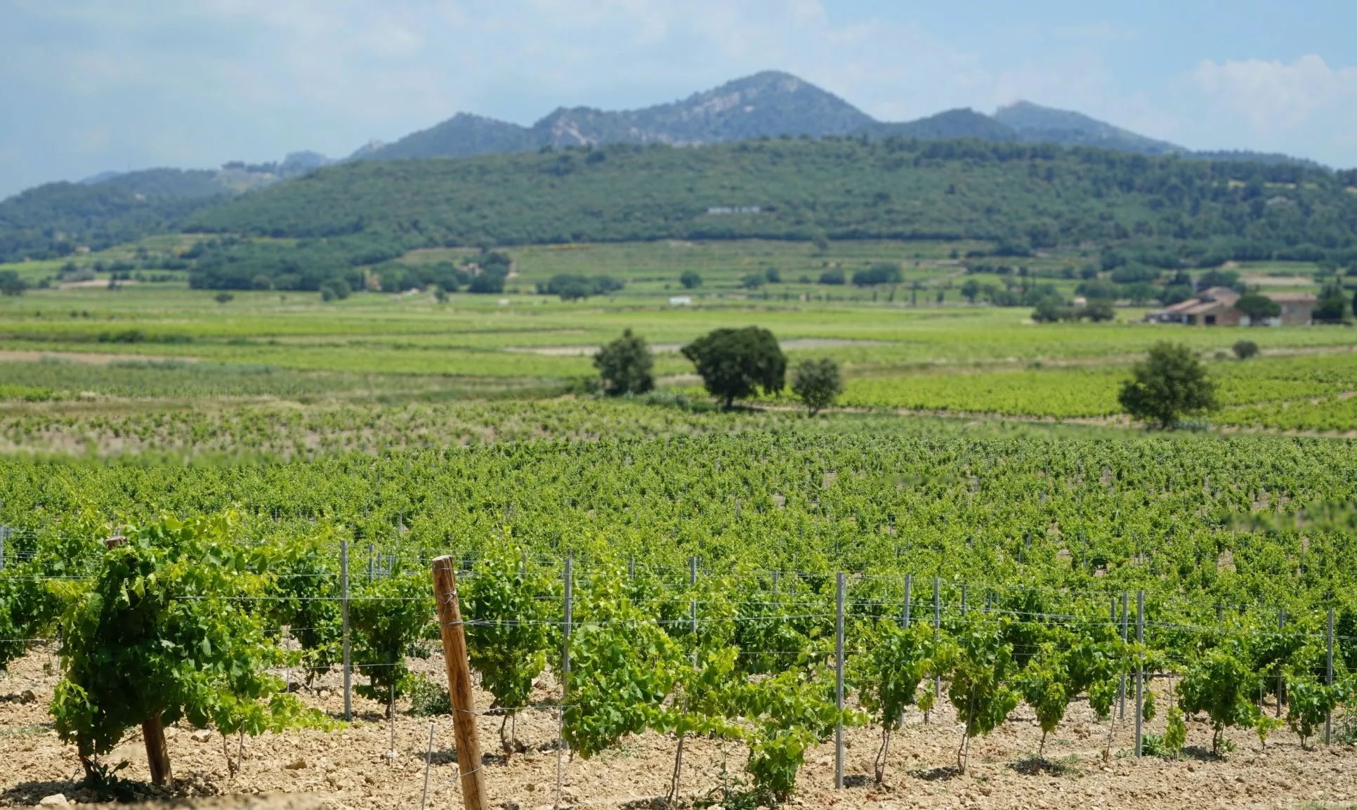 Domaine de la Tête noire