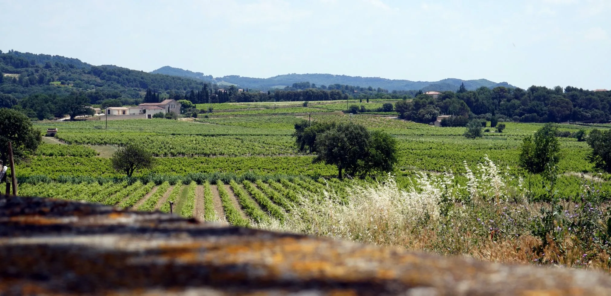 Photo de Domaine de la Tête noire