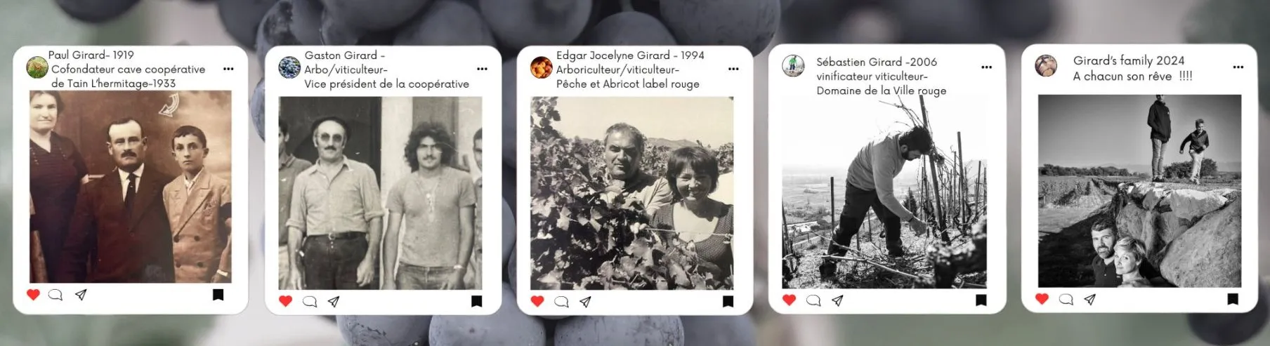 Bandeau Domaine de la Ville Rouge