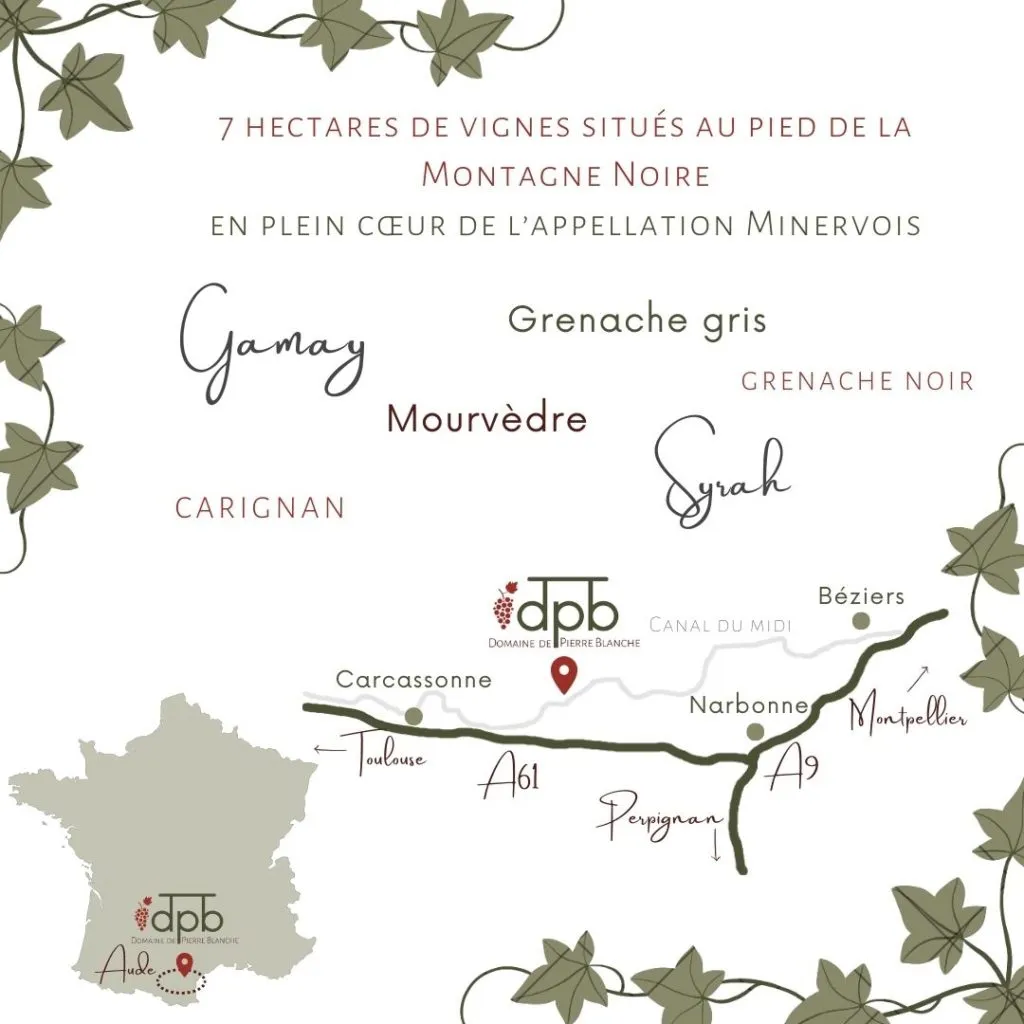 DOMAINE DE PIERRE BLANCHE