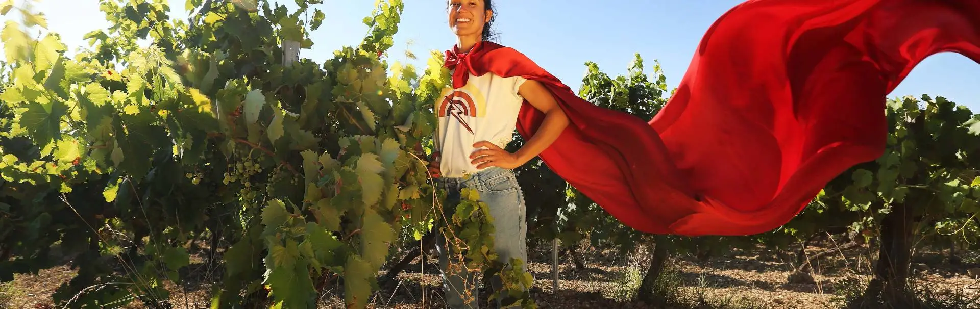 DOMAINE DE POLIGNACFRONSAC