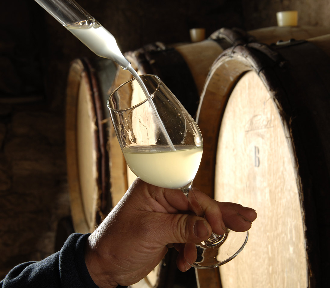 Photo de DOMAINE DE QUINTEFEUILLE BOURGOGNE