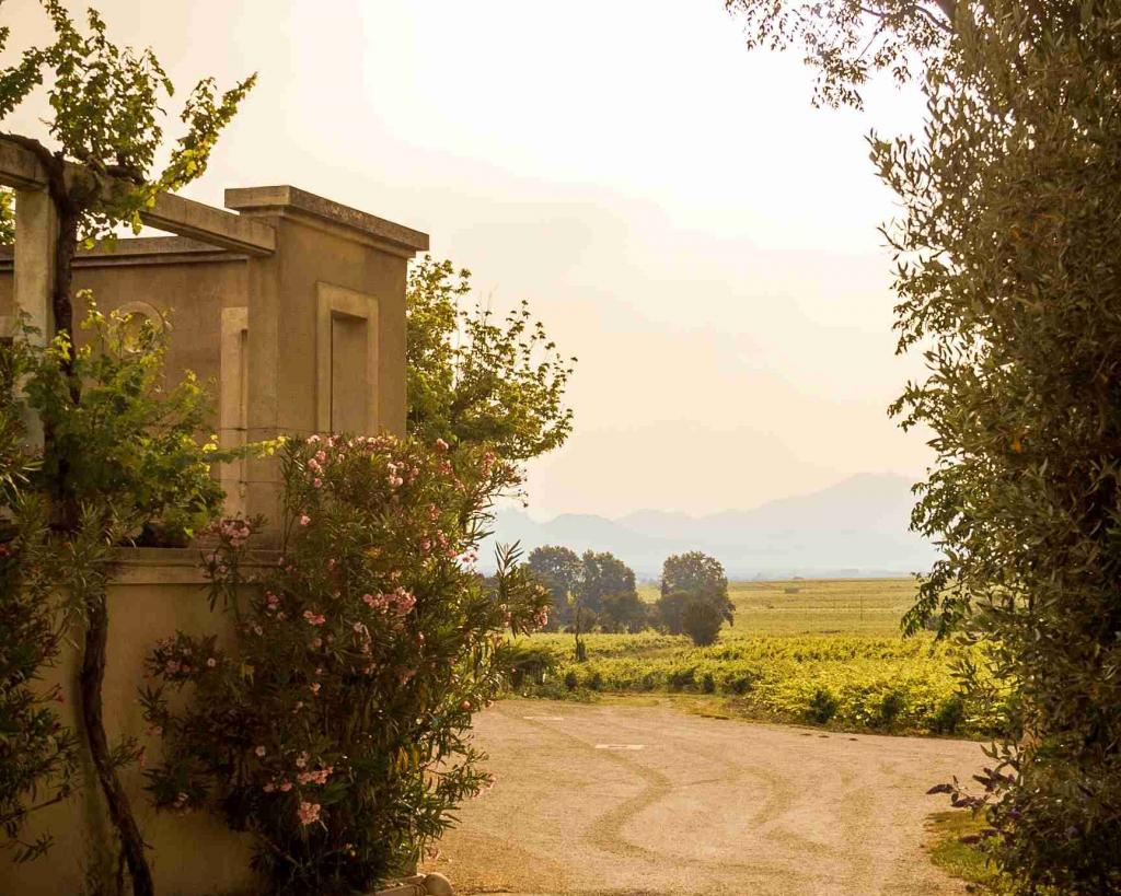 Bandeau Domaine de Saint Siffrein