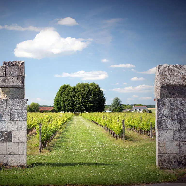 Domaine de Touraine