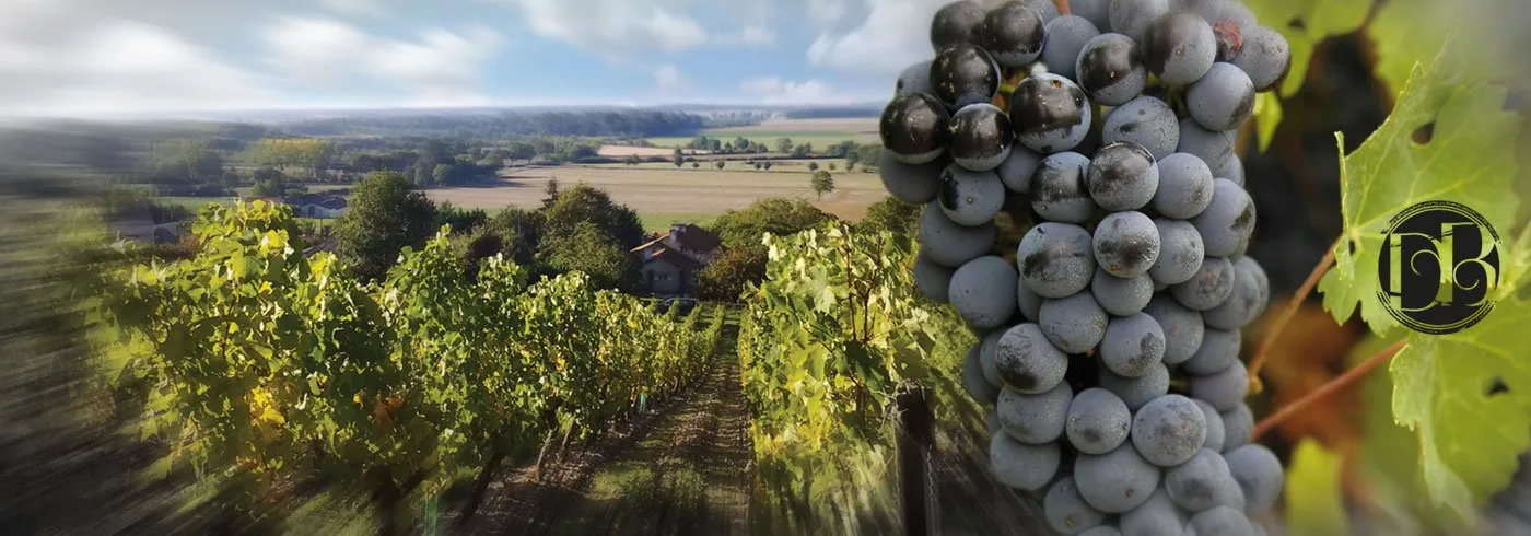 Photo de Domaine des Bénédictins