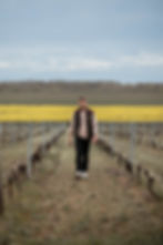 Domaine des Brissettes - Maxime CADOUX