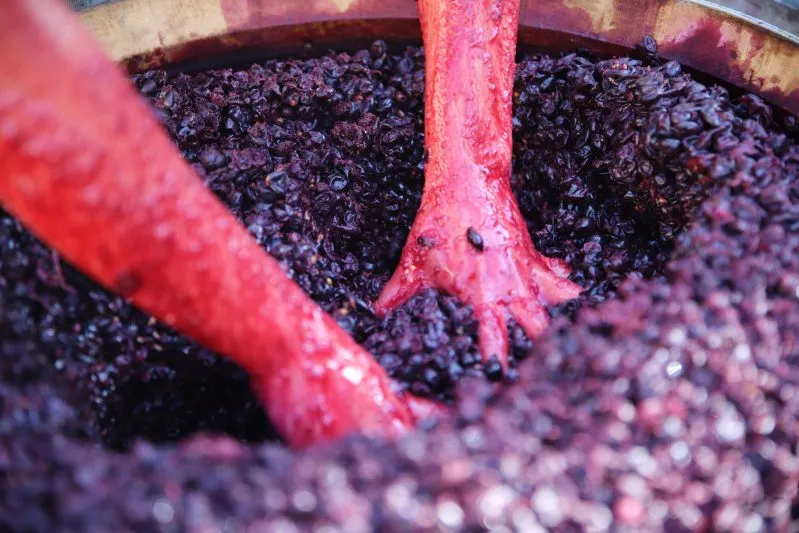 Domaine des Communes