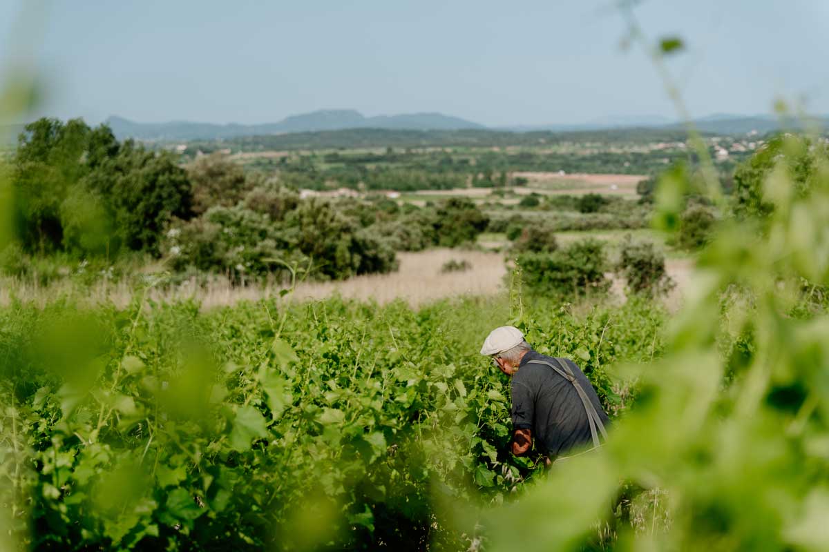 Domaine des Conquêtes
