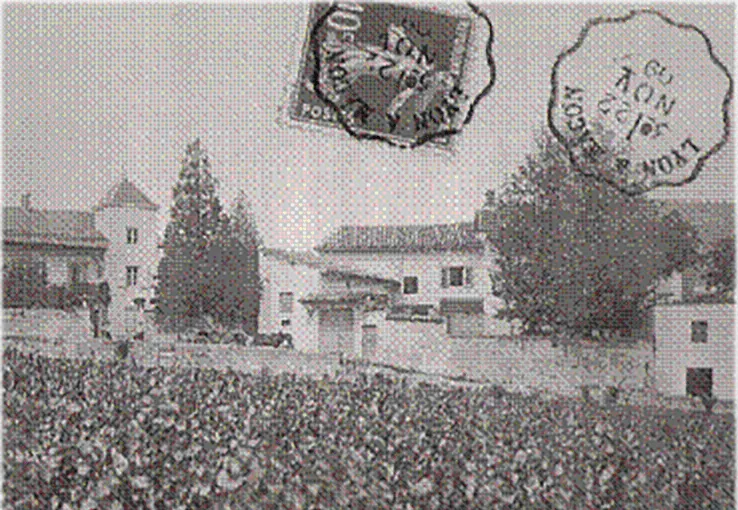 Domaine des Fontaines Nicolas LORON