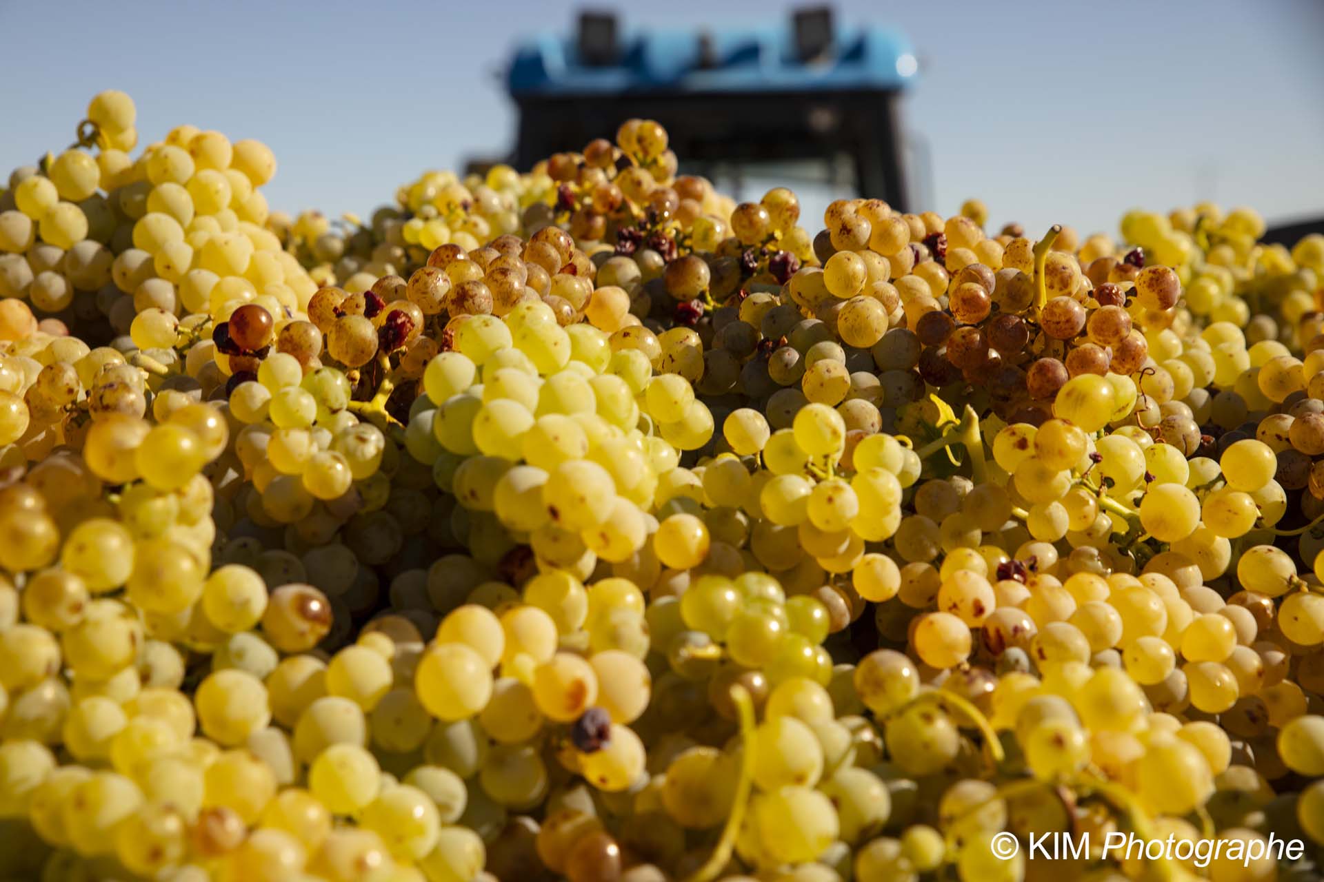 Domaine Des Fontnobles