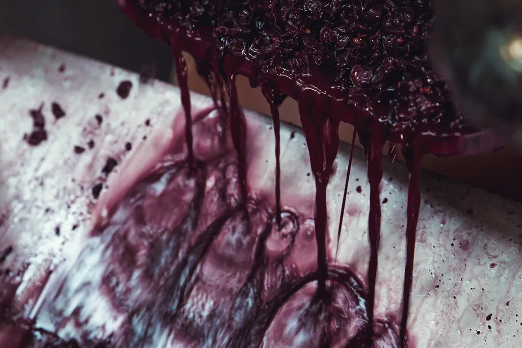 Photo de DOMAINE DES GALLOIRES