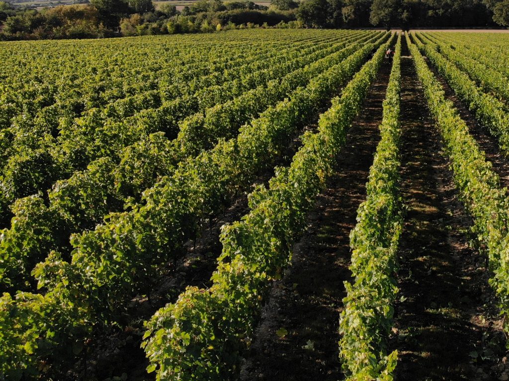 DOMAINE DES GIRAUDIERES