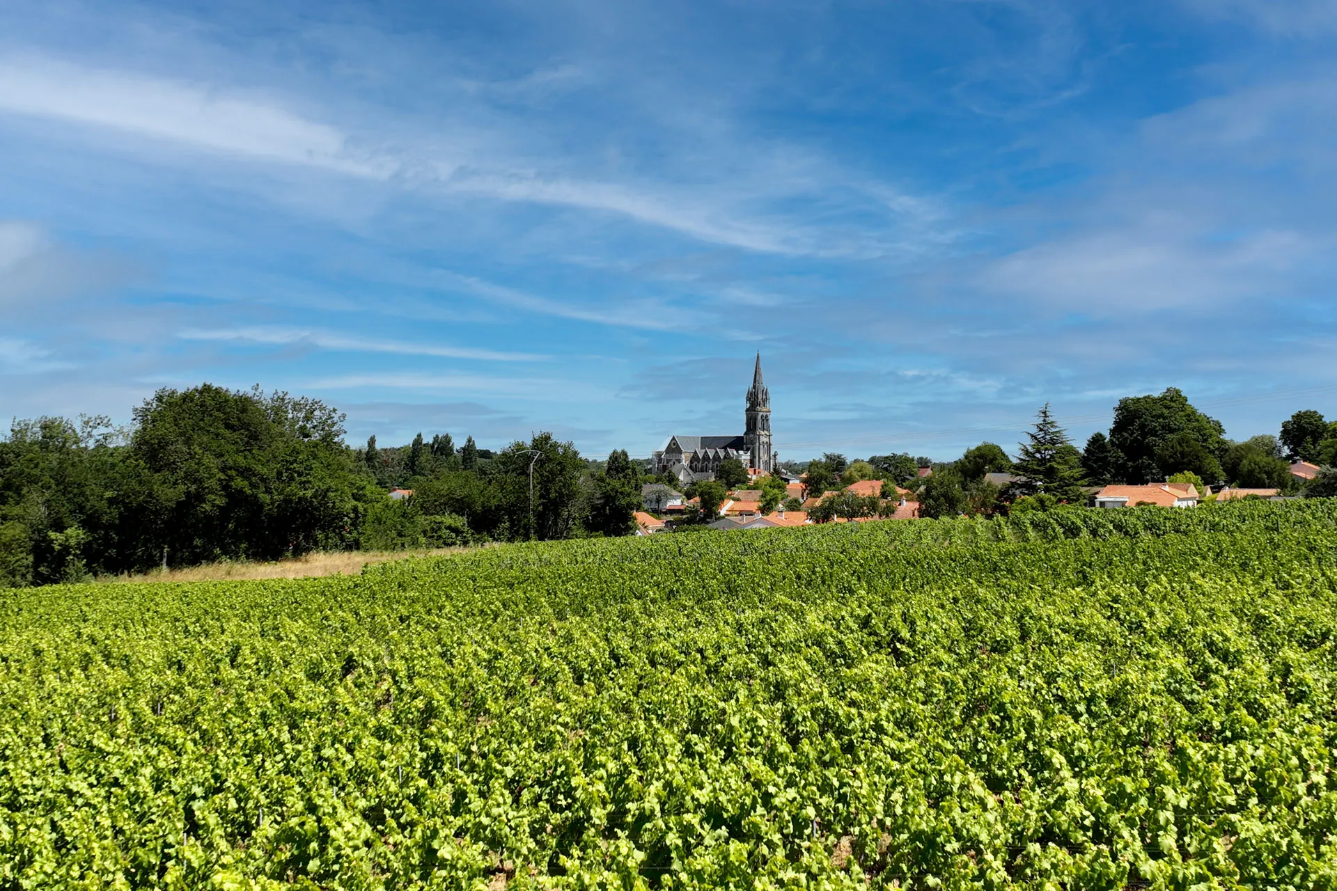 Domaine des Hautes Noëlles