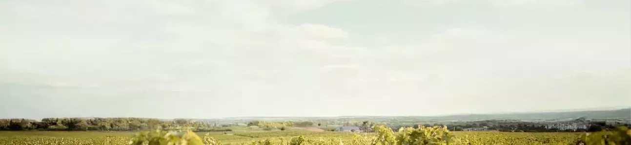 Bandeau DOMAINE DES HAUTS PERRAYS