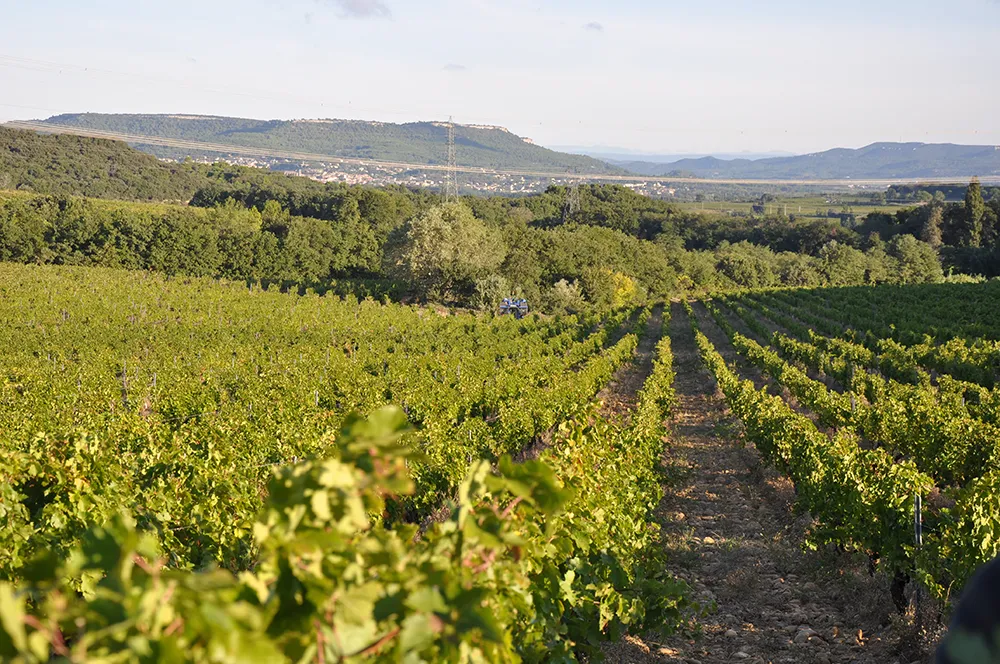 Bandeau Domaine des Maravilhas