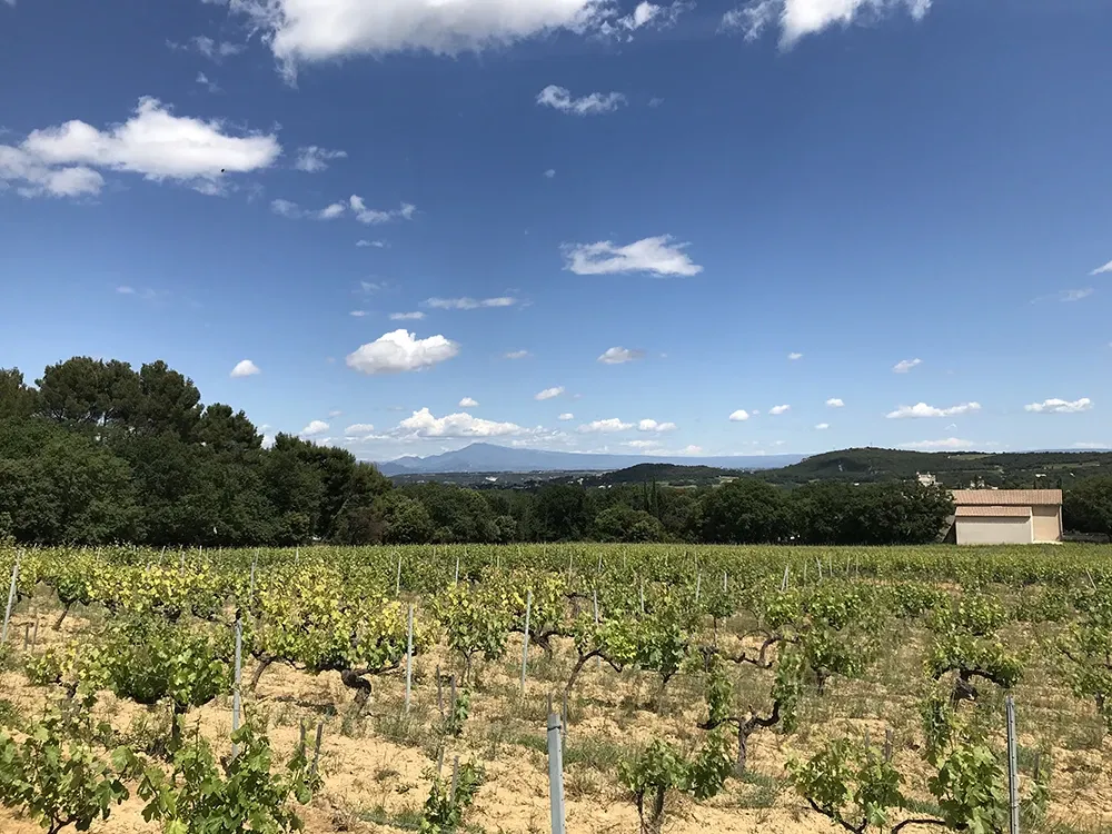 Photo de Domaine des Maravilhas