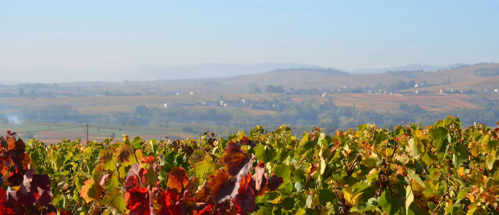 Photo de Domaine des Pierres